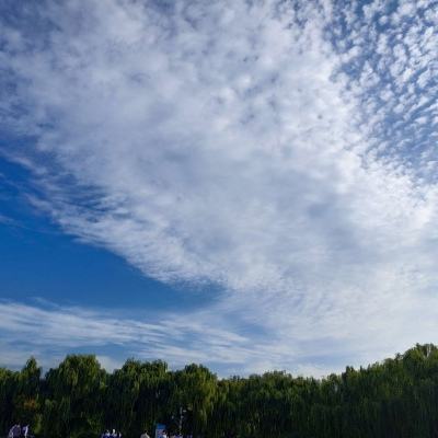 仙境传说ro守护永恒的爱游戏下载