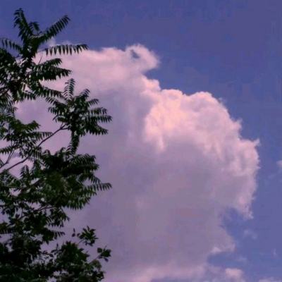 魔唤手游九游版下载