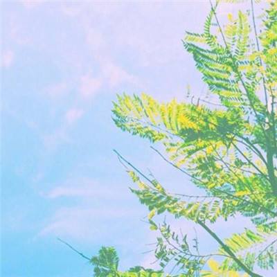 航海王燃烧意志小米账号版下载